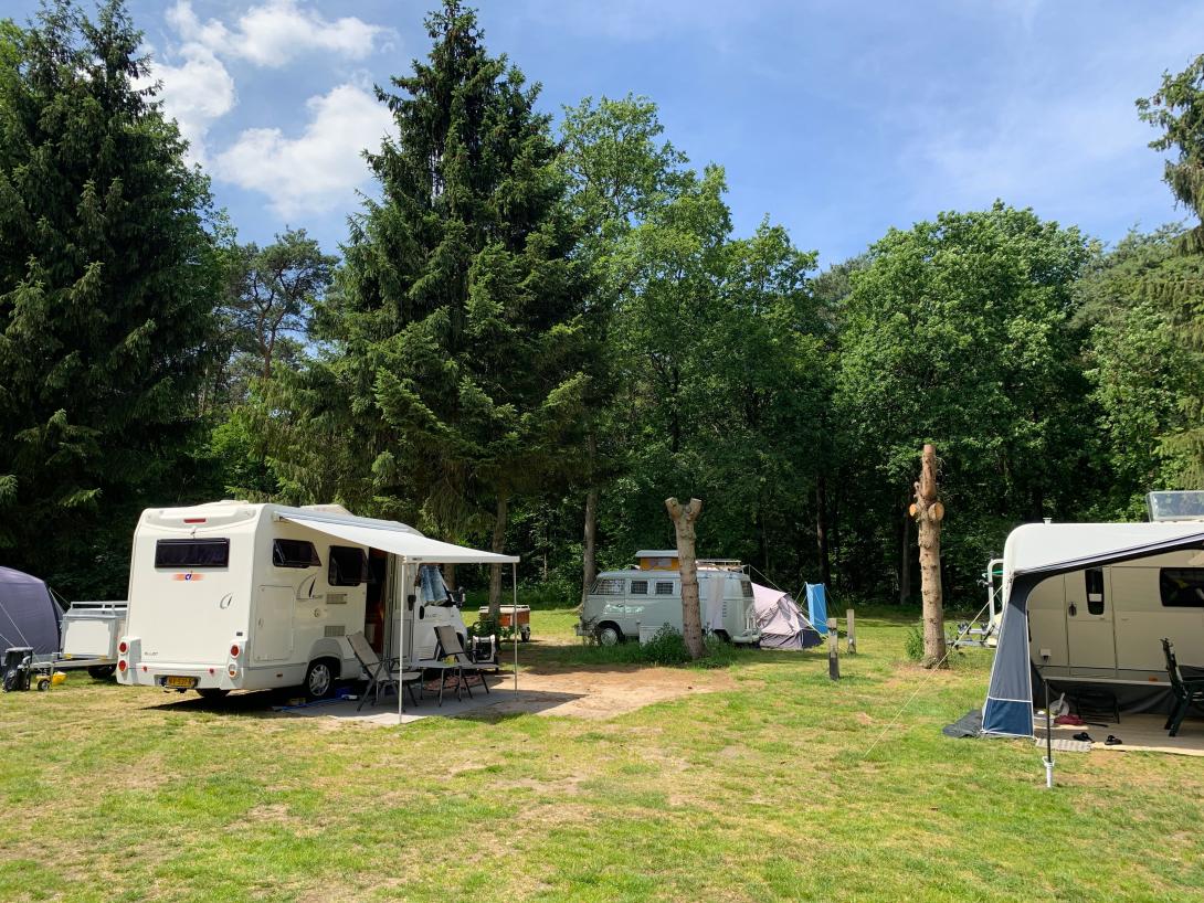 Kamperen camping r veld