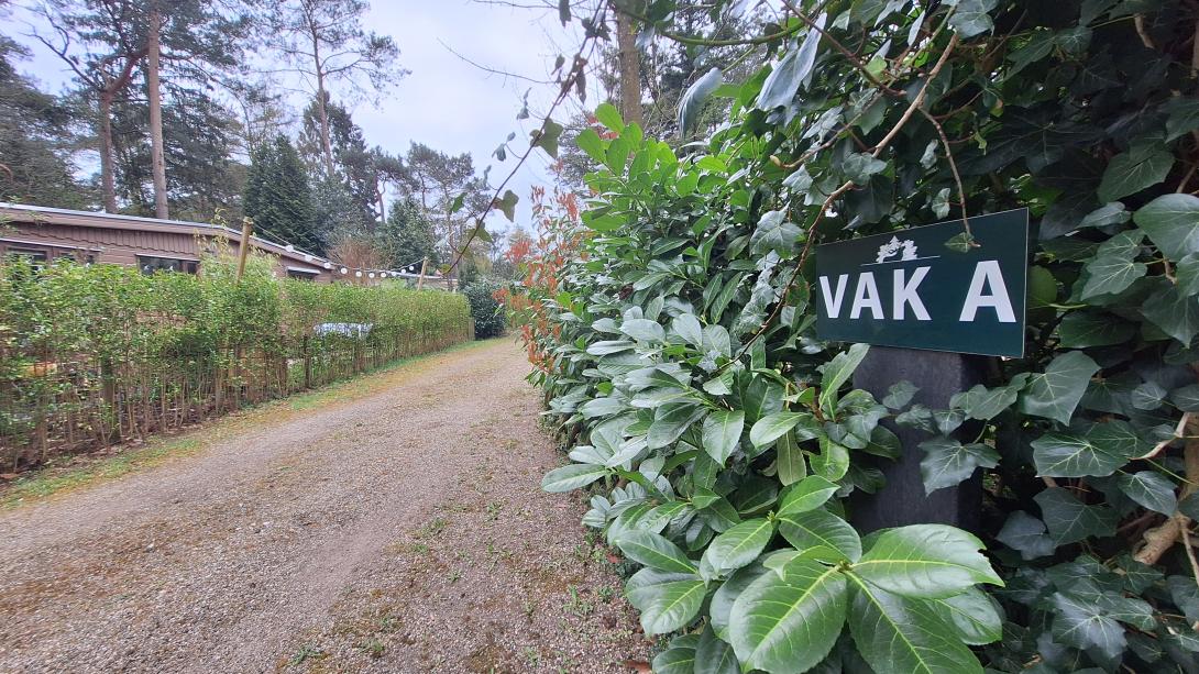 Vak a Jaarplaatsen