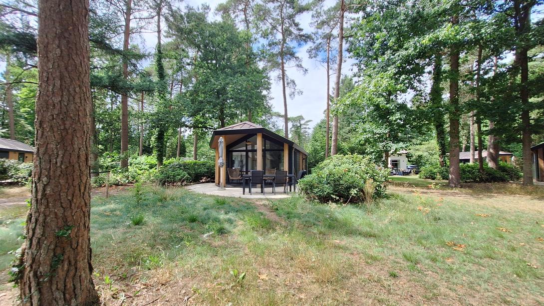 Hermelijn type Veluwe