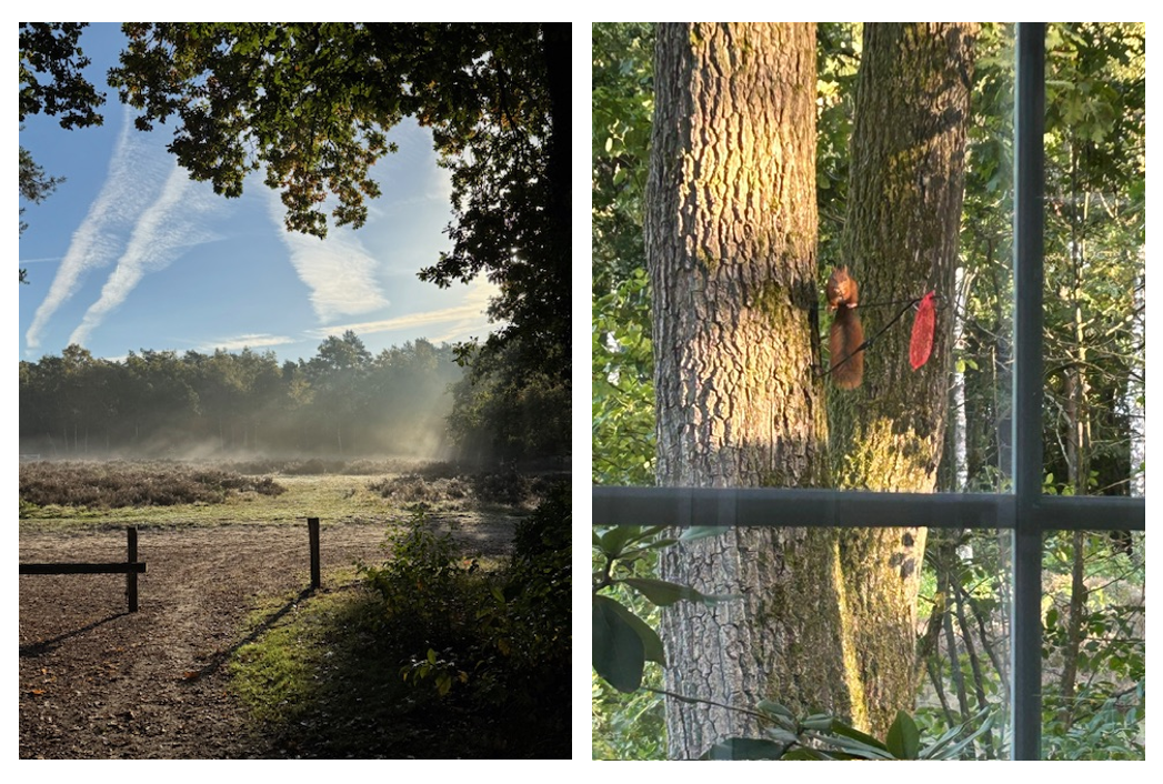 Ingezonden fotos
