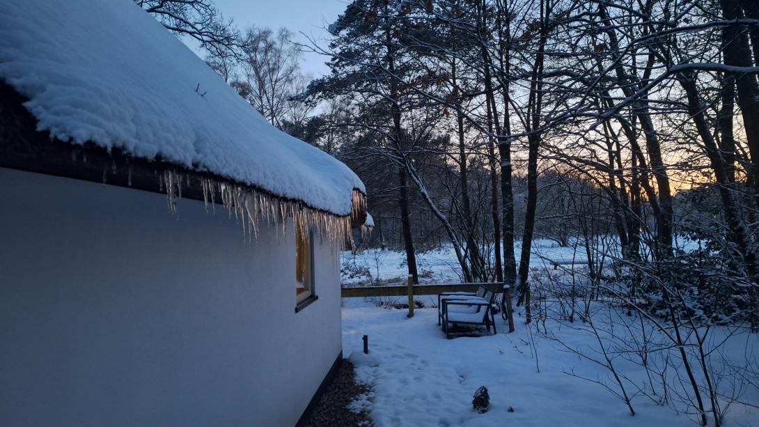 Winter op de Veluwe