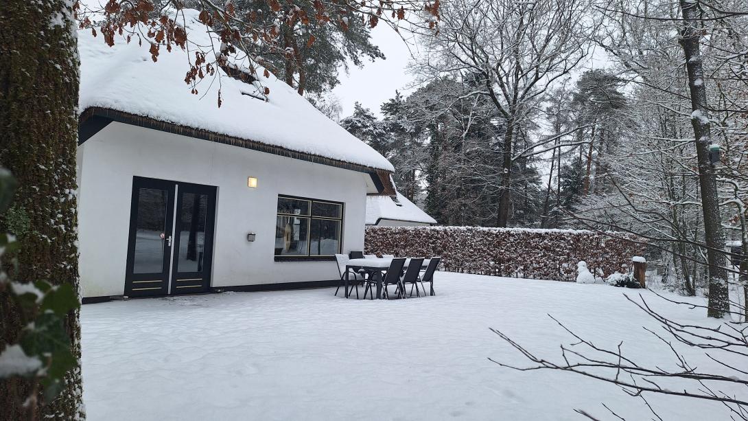 Winter op de Veluwe