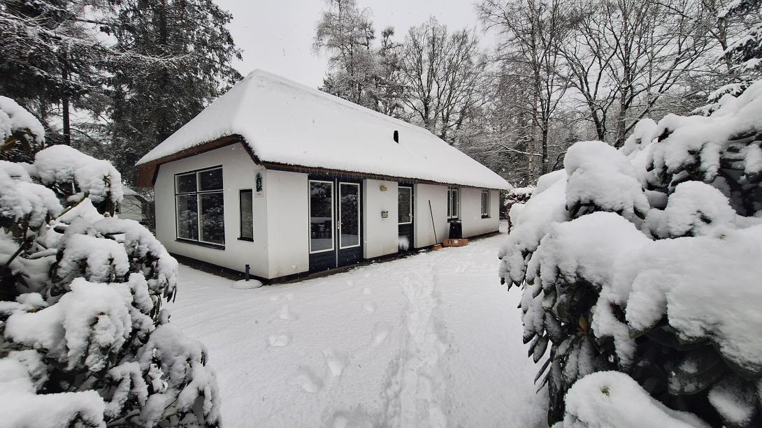 Winter op de Veluwe