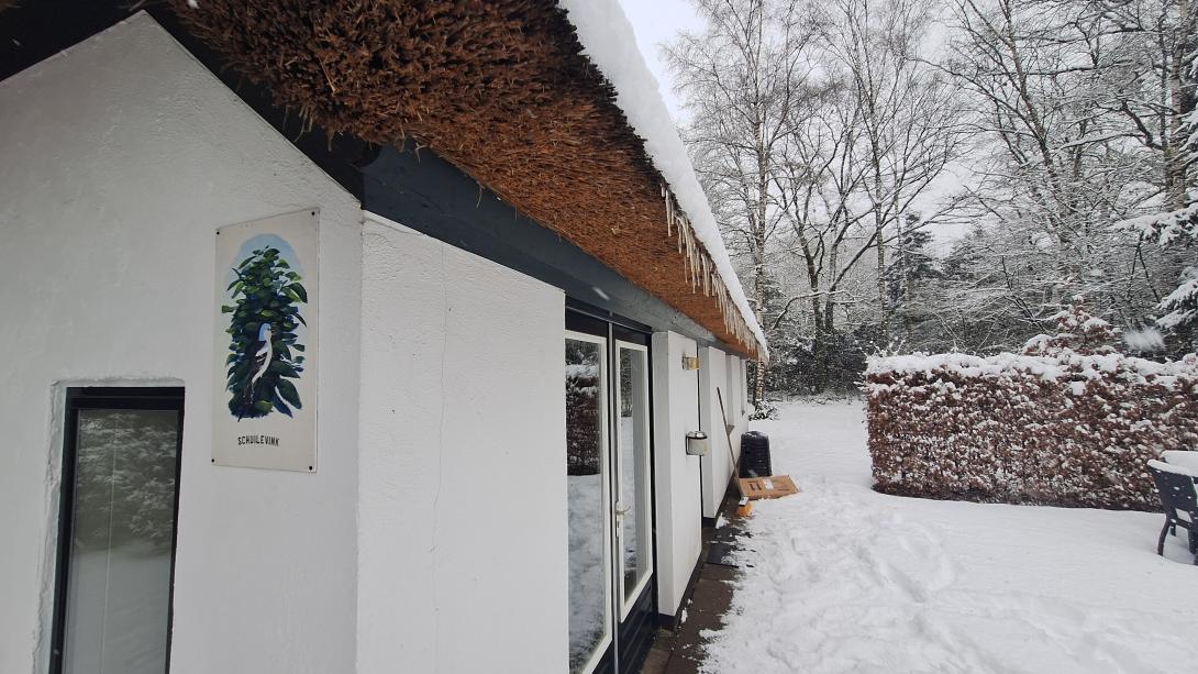 Winter op de Veluwe