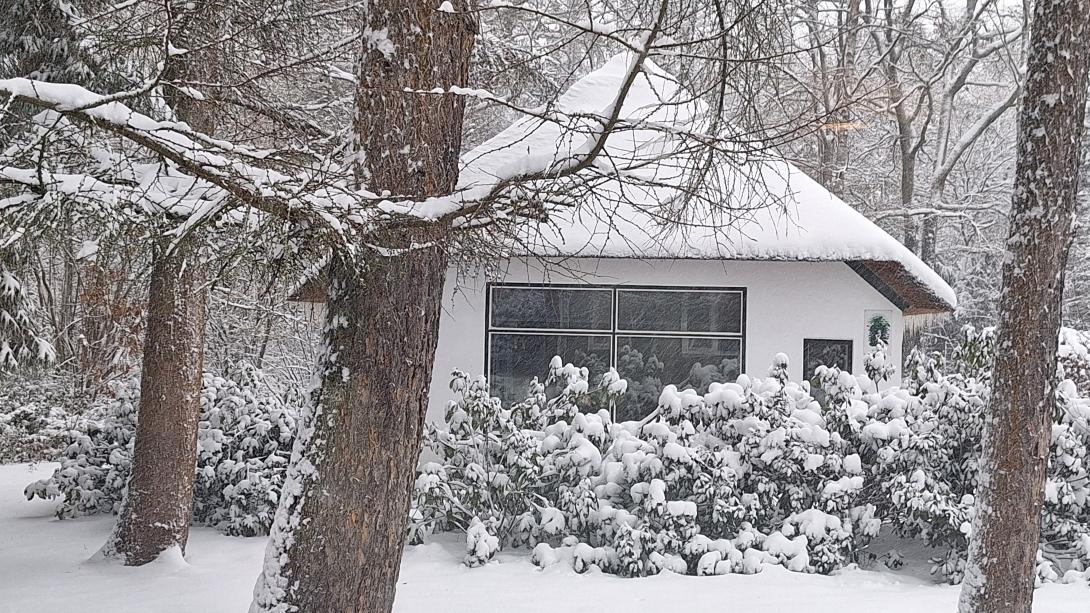 Winter op de Veluwe