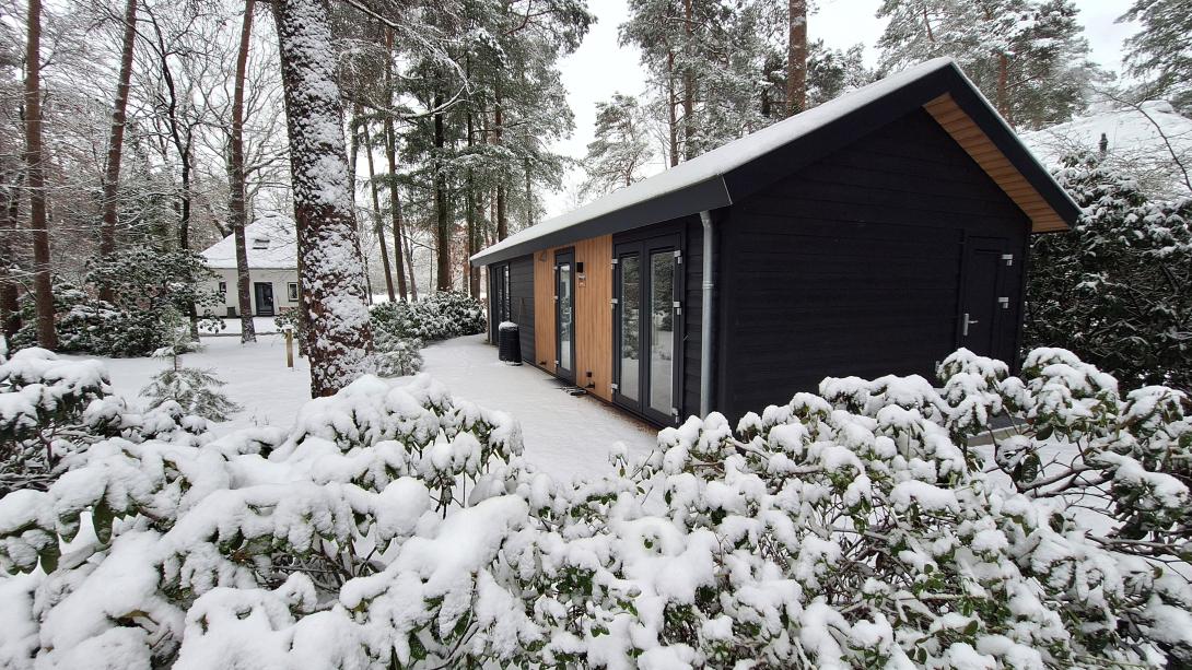Winter op de Veluwe