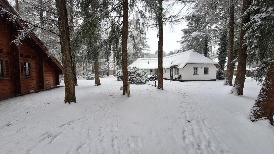 Winter op de Veluwe