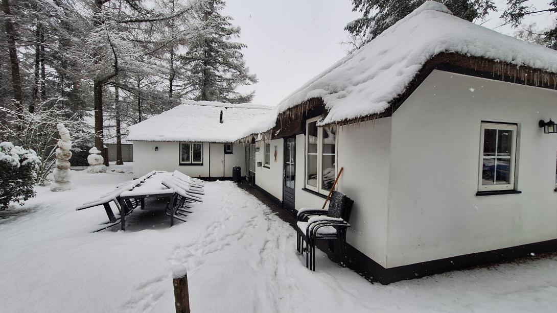Winter op de Veluwe