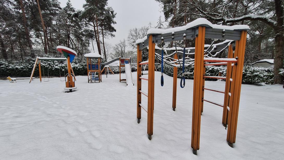 Winter op de Veluwe