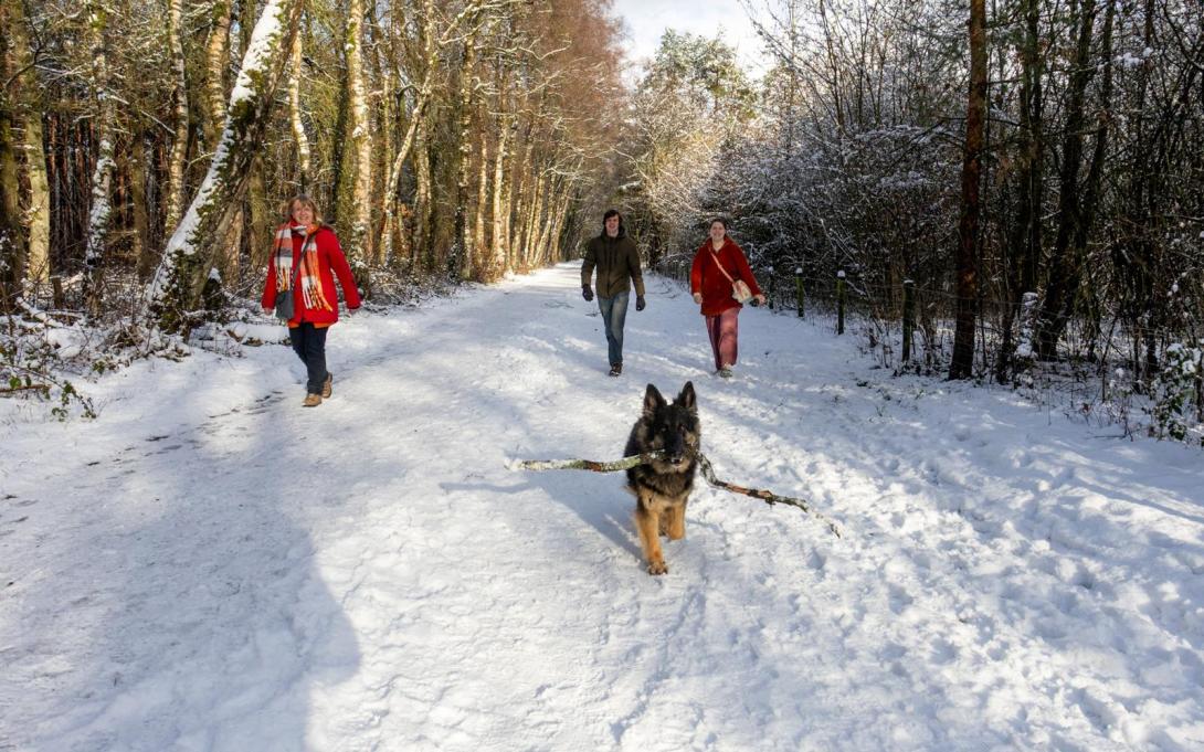 ingezonden sneeuw