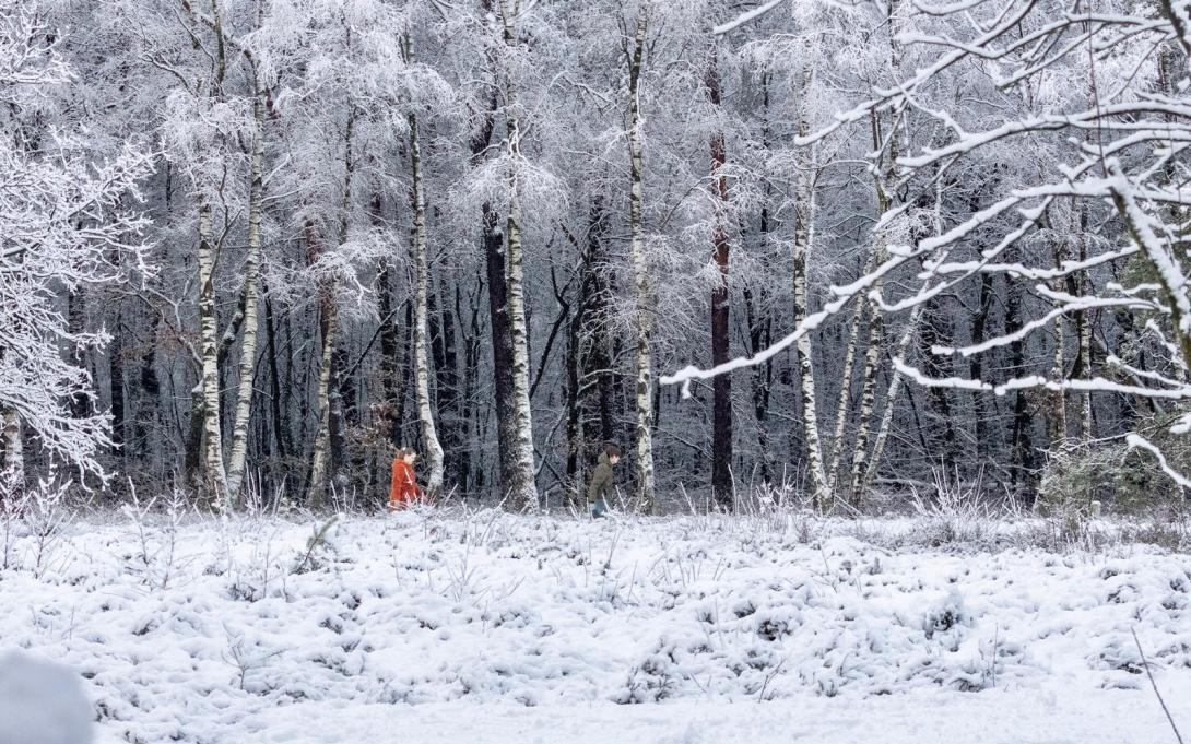 ingezonden sneeuw
