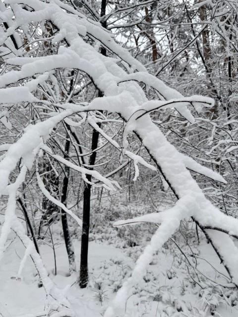 ingezonden sneeuw