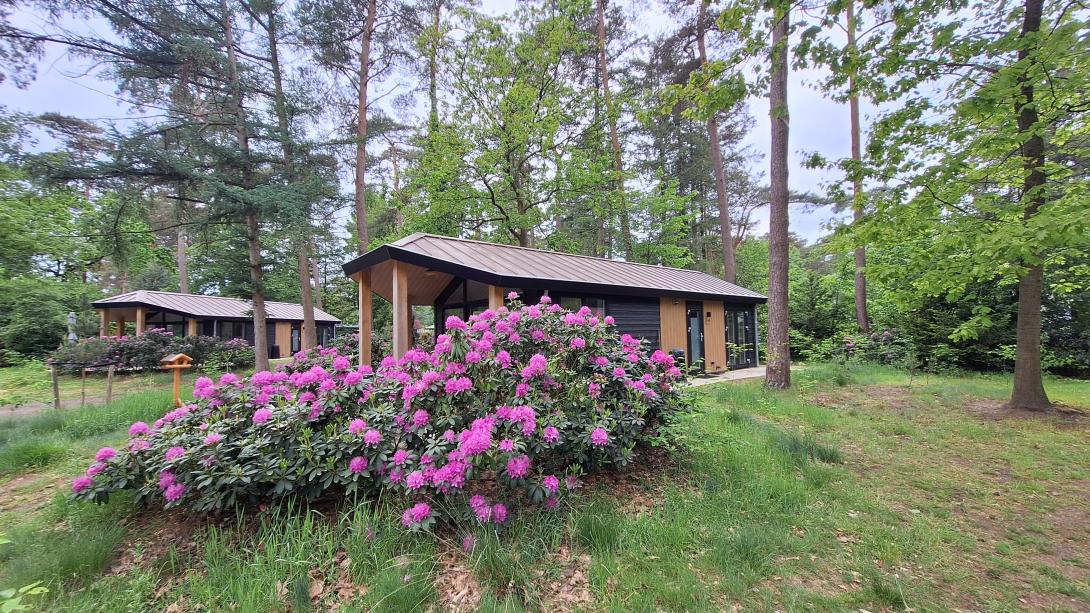 Rhodo Veluwe