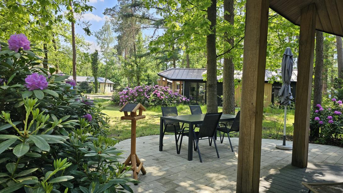Bungalow Type Veluwe 4p