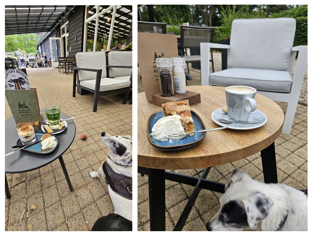 Roekel koffie terras honden