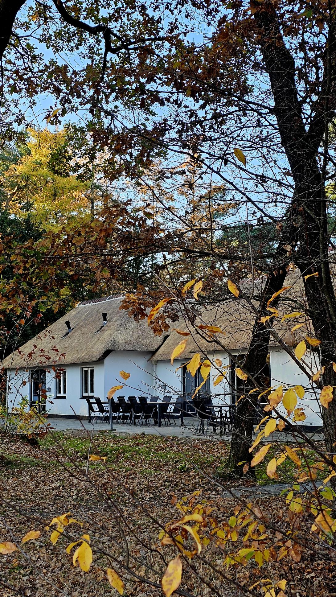 Herfst