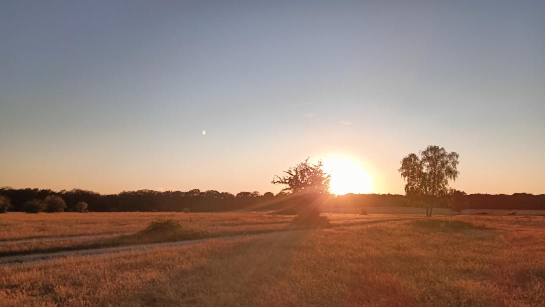 Zonsondergang