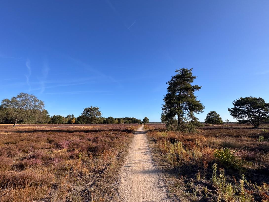 Fietsen heide